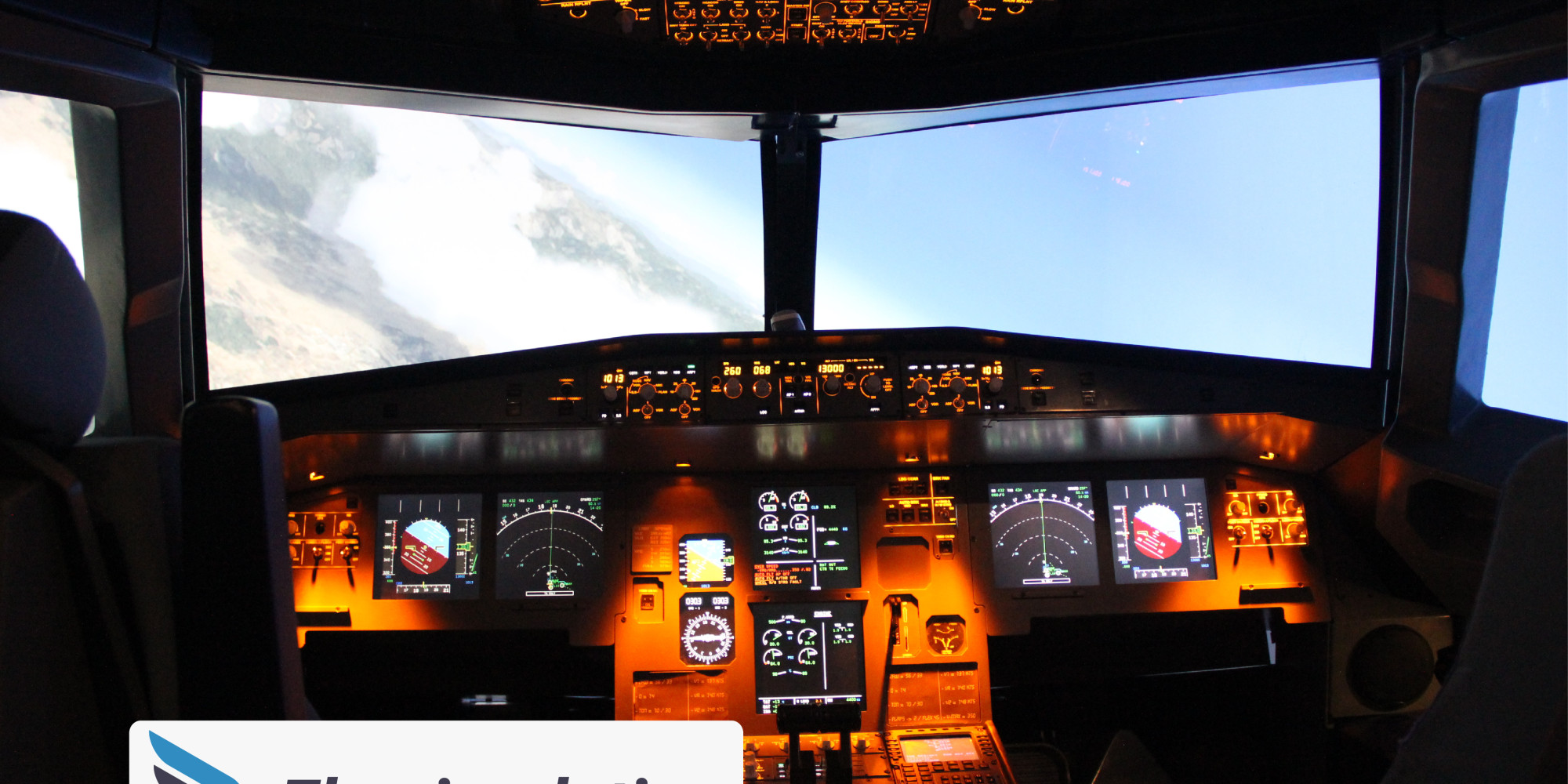 Fly Simulation 