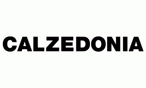 Calzedonia FR
